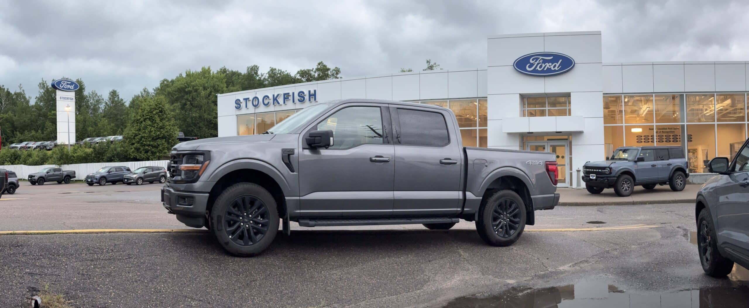 Gray Ford pickup truck parked outside a Stockfish Ford dealership with a cloudy sky.